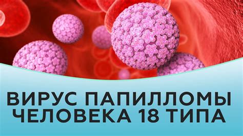 Диагностика вируса папилломы человека типа 11 у женщин