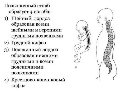 Диагностика и выявление проблем с верхними шейными позвонками