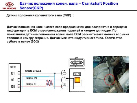 Диагностика неполадки в работе датчика вращения коленчатого вала автомобиля Citroen C3