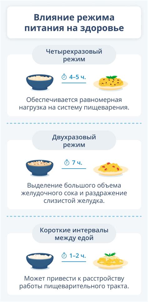 Диета и питьевой режим у котов: выбор правильного питания и поильного режима