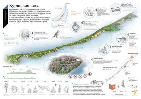 Доводы сторон в дискуссии о возможности установки палаток на природе Куршской косы