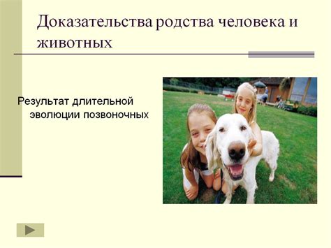 Доказательства родства и удостоверяющие документы: подтверждение прав на наследование