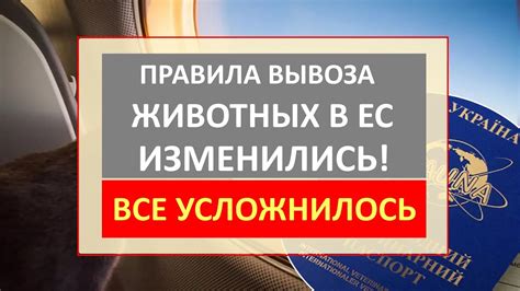 Документы, необходимые для легального вывоза технических устройств из страны