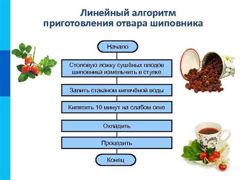 Дополнительные блага от отвара плодов шиповника для сердечно-сосудистой системы