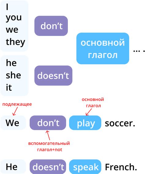 Дополнительные нормы и уникальные нюансы применения "do" и "does"