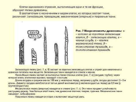 Достоинства и недостатки древесины в качестве материала для создания камина