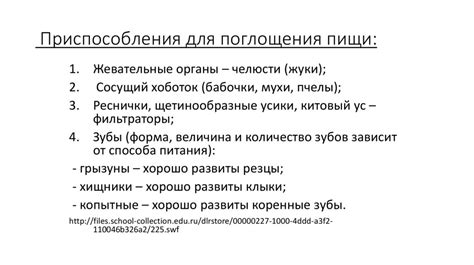 Духовная значимость причастия после поглощения пищи, содержащей мясо