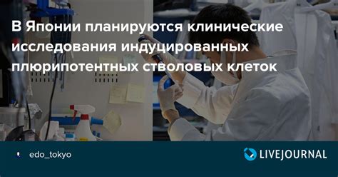 Европейский Центр для Исследования Индуцированных Радиоактивных Ядер