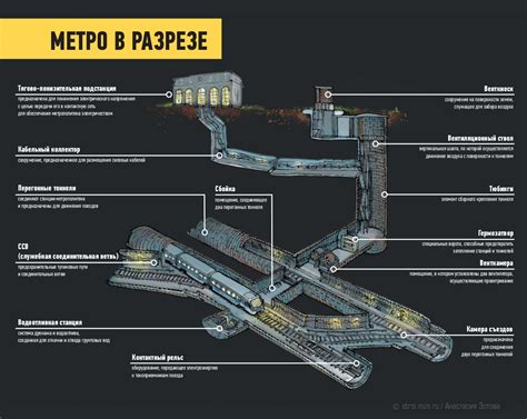 Ежики в зимний покой под землей