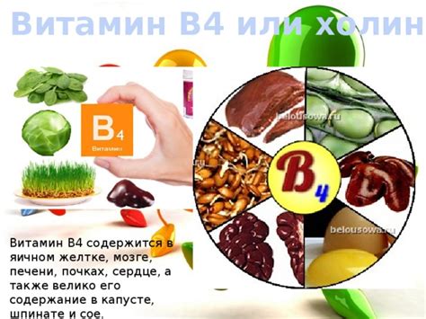 Естественные источники витамина В4