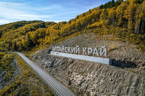 Естественные противники лисичек в Алтайском крае