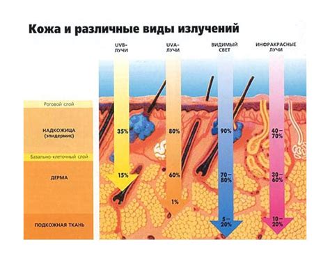 Жара и солнце: воздействие на кожу и последующие проблемы