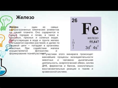 Железо: один из наиболее распространенных элементов в окружающей нас среде