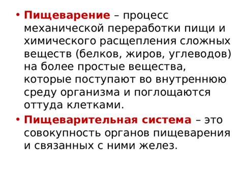 Желудок: процесс химического и механического разложения белков