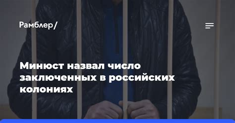 Жизнь заключенных в колониях-поселениях: реабилитация в обществе