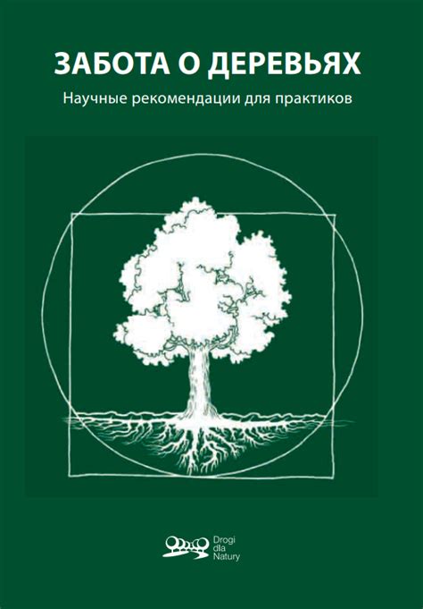 Забота о декоративном объекте: рекомендации для прекрасного и здорового рассадника