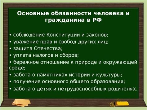 Забота о растениях: основные обязанности и методы ухаживания