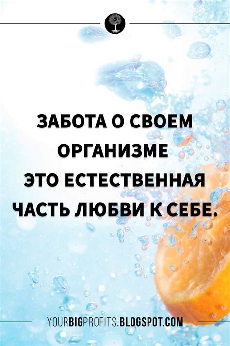 Забота о своем организме: поддерживаем равновесие и способность к своему размножению