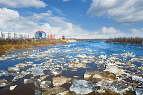 Заведения с растительными блюдами в городе Новый Уренгой