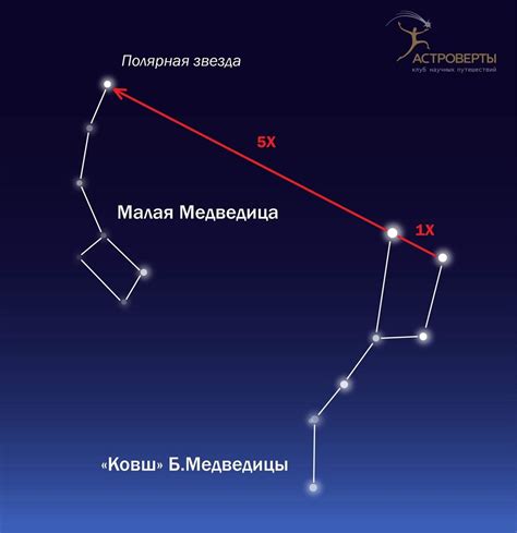 Загадочная Большая Медведица: научные изыскания отечественных ученых