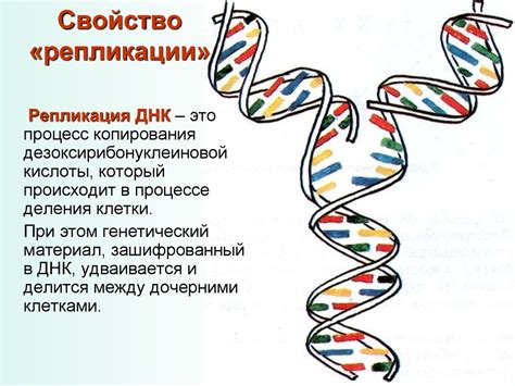 Загадочная природа наследственной информации