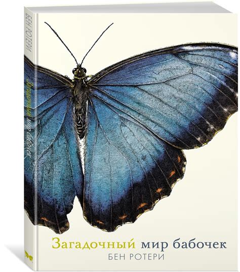 Загадочный мир "Дома Джульетты"