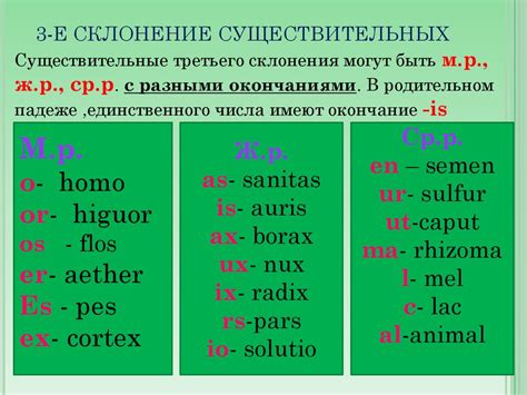 Загадочный мир слова "пульверес" на латинском языке