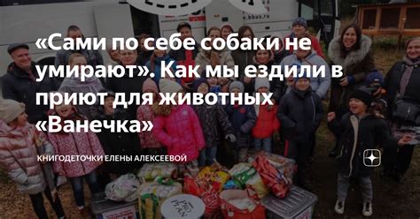 Загляните в приют Елены Альбертовны Кесаревой