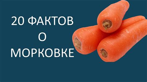 Загляните в свою пищевую привычку: как морковь может помочь избежать ненужной пищи