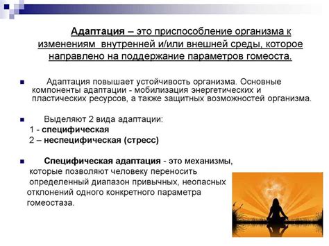 Заголовок: Процесс международной адаптации и распространения ценностей скаутства