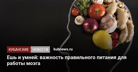 Заголовок 1: Важность правильного питания для бодрости тела и души