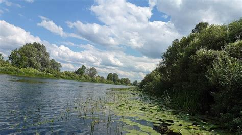 Загрязнение воды: угрозы питьевому водоснабжению и здоровью