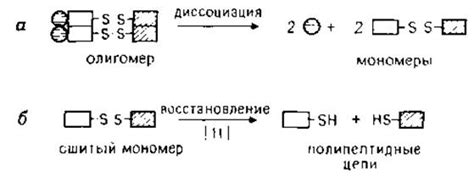 Заключение и рекомендации по нагреванию состава белковых соединений