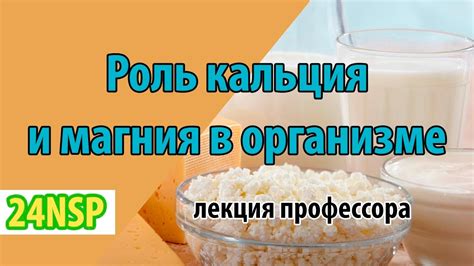 Запивание магния и кальция молочными напитками: эффективность и безопасность