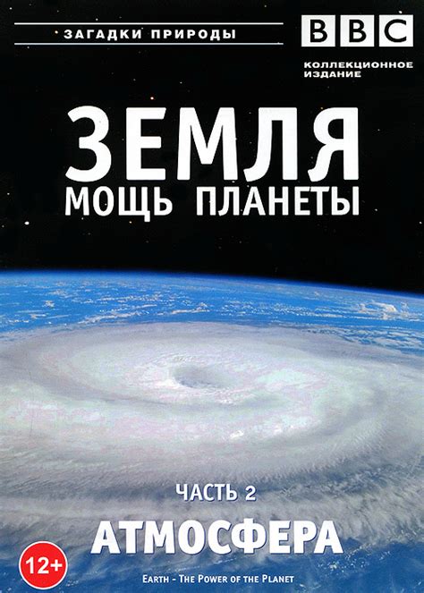 Зачаровывающая атмосфера: мощь кленового исполнения