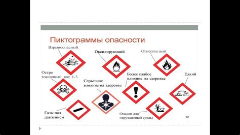 Защита личных предметов от вредных эффектов в Зоне
