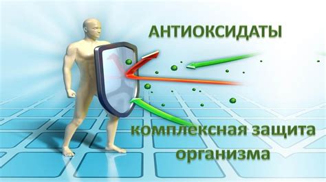 Защита организма от негативного воздействия свободных радикалов