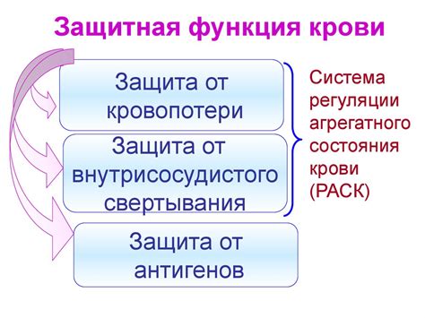 Защитная функция Вирфотена