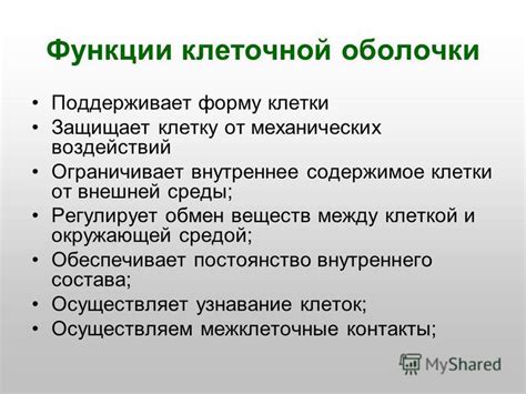 Защитные функции клеточной оболочки: роль в сохранении целостности и защите организмов