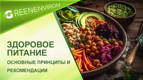 Здоровое питание мэйн-кунов: основные принципы сырого рациона