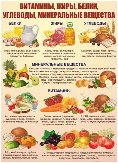 Здоровые продукты для поддержания баланса питания