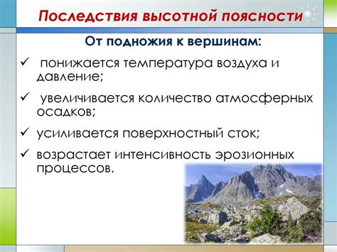 Здоровье и эстетические преимущества в использовании природных компонентов в парной бани