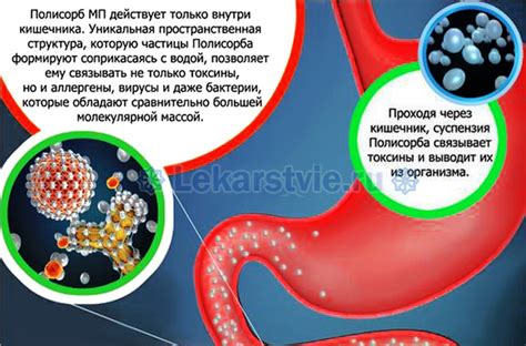 Здоровье организма благодаря применению полисорба