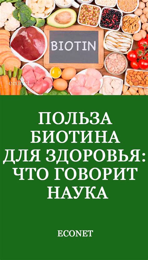 Зелень с высоким содержанием биотина: польза для организма