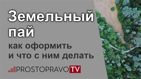 Земельный пай: текущий статус согласно современному законодательству