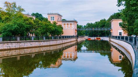 Зимние пристанища: укромные места для птиц в холодные ночи