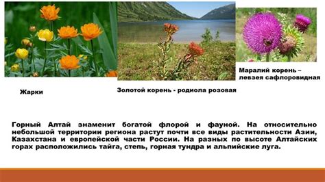 Златоуст: бриллиант Урала с горным водоемом и богатой флорой и фауной