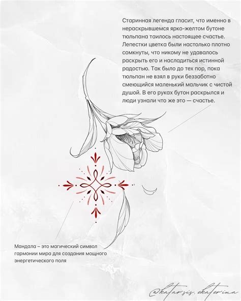 Знакомство с историей и смыслами Величавых Объектов Бессмертия Обливиона