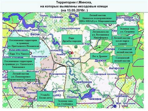 Знакомство с основными местами обитания клещей в Минске