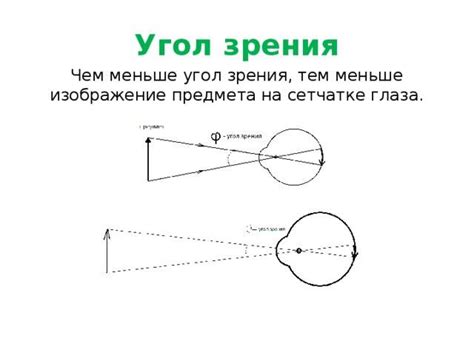 Значение бокового зрения в повседневной жизни